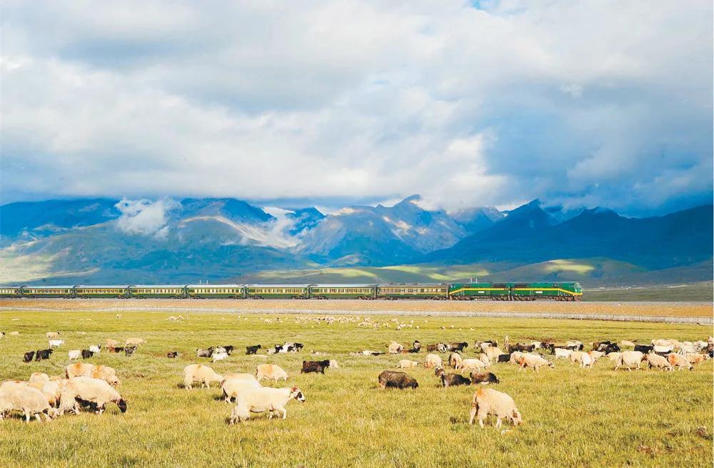 动车组体验,乘坐中国标准动车组的感受