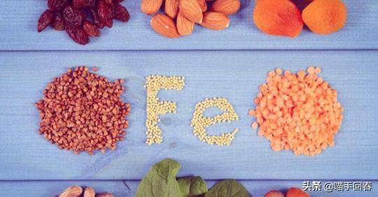 猫咪缺铁有什么症状,猫咪贫血症状表现吃什么药