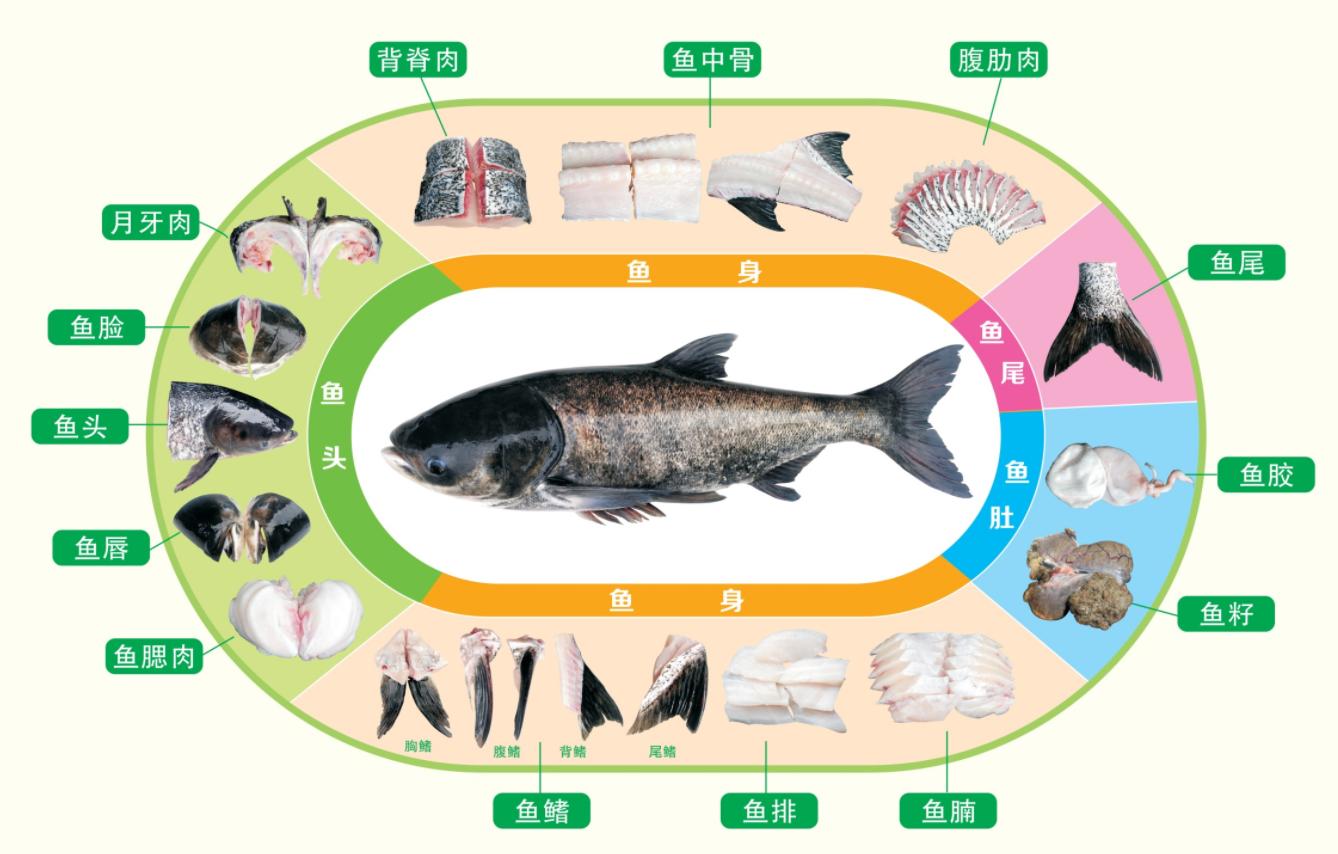千岛湖蓝藻大爆发,千岛湖蓝藻爆发事件