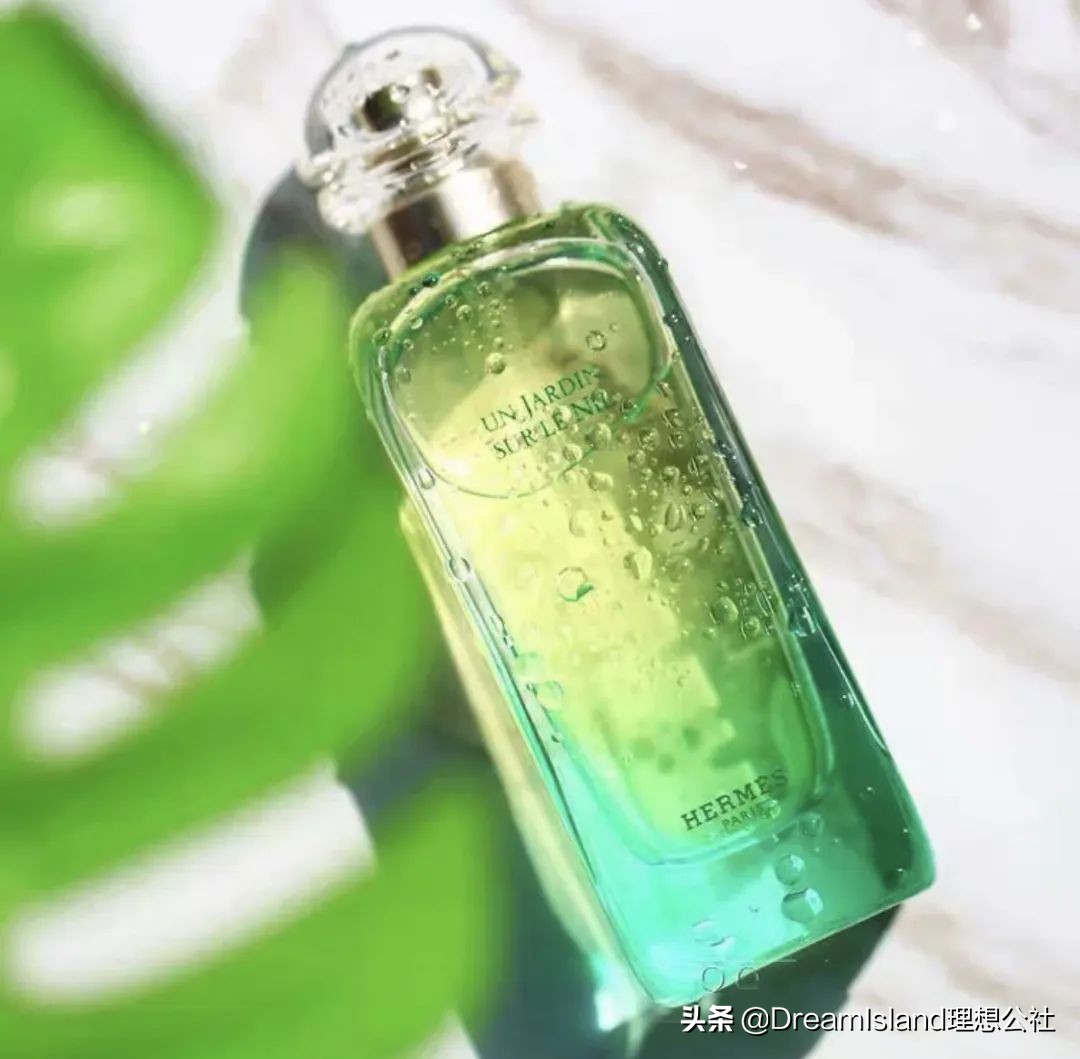 超好用的宝藏单品,拥有这几件单品足够了