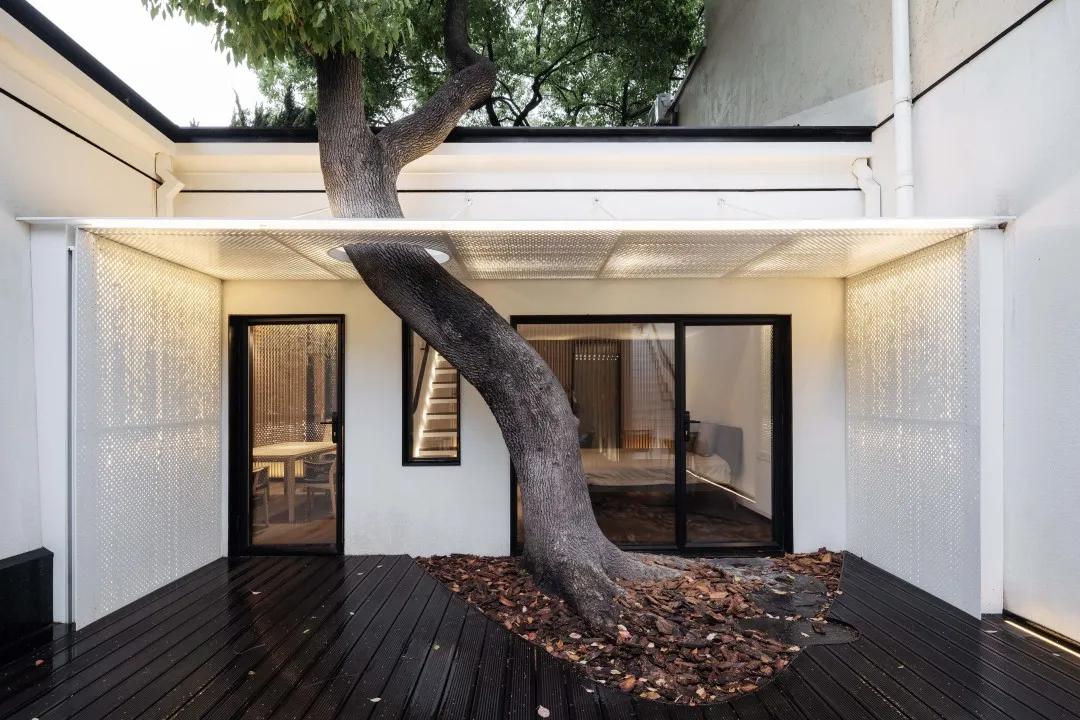 花6年时间建造木屋,花6年建造木屋