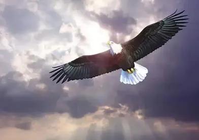 底层人员如何逆袭自己,底层如何逆袭实现阶层跨越