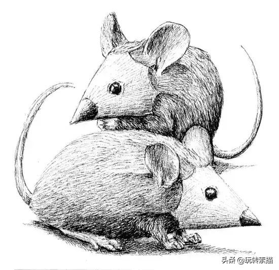 小清新素描黑白插画,看似抽象实则写实的画