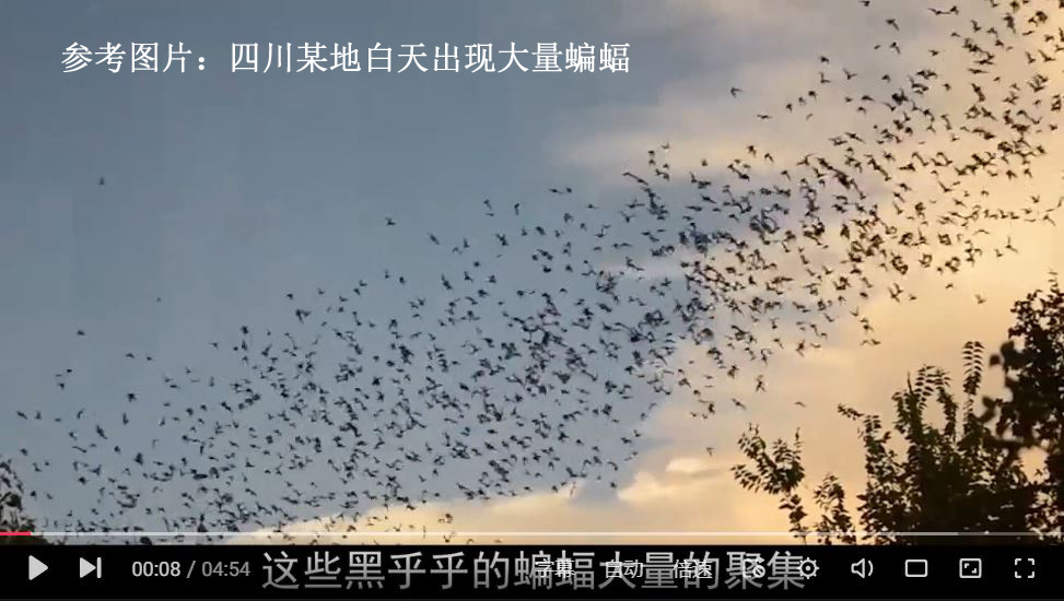 1976年盐源地震,地震自救互救常识512