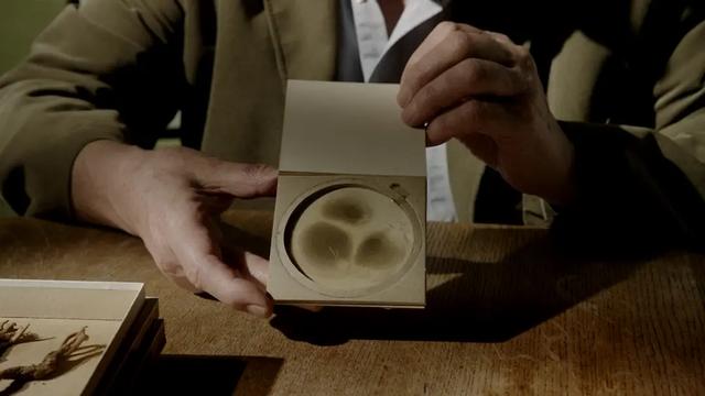 40部宝藏级bbc纪录片,bbc十大必看纪录片