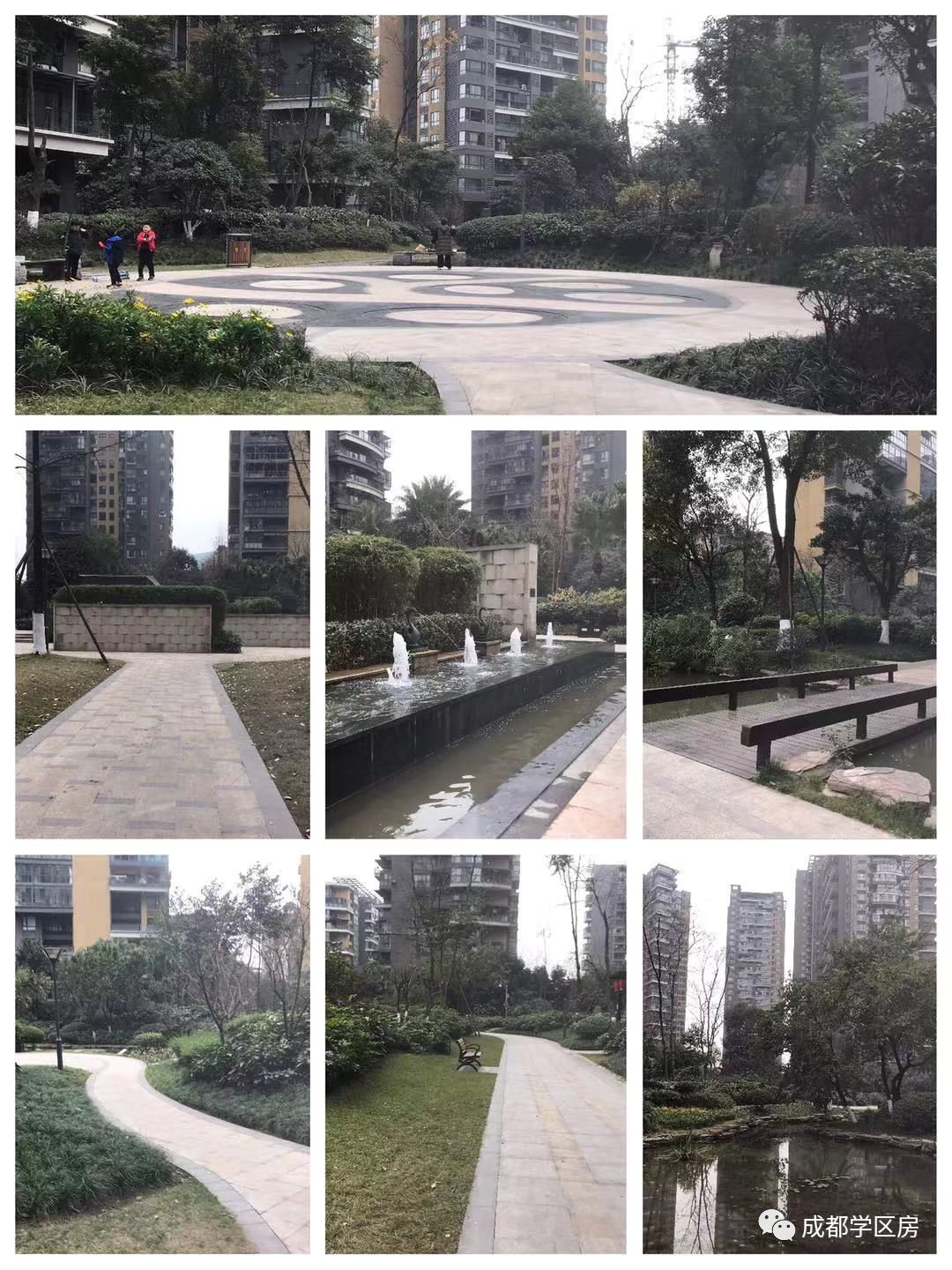 华侨城小学配套什么中学,华侨城对口小学