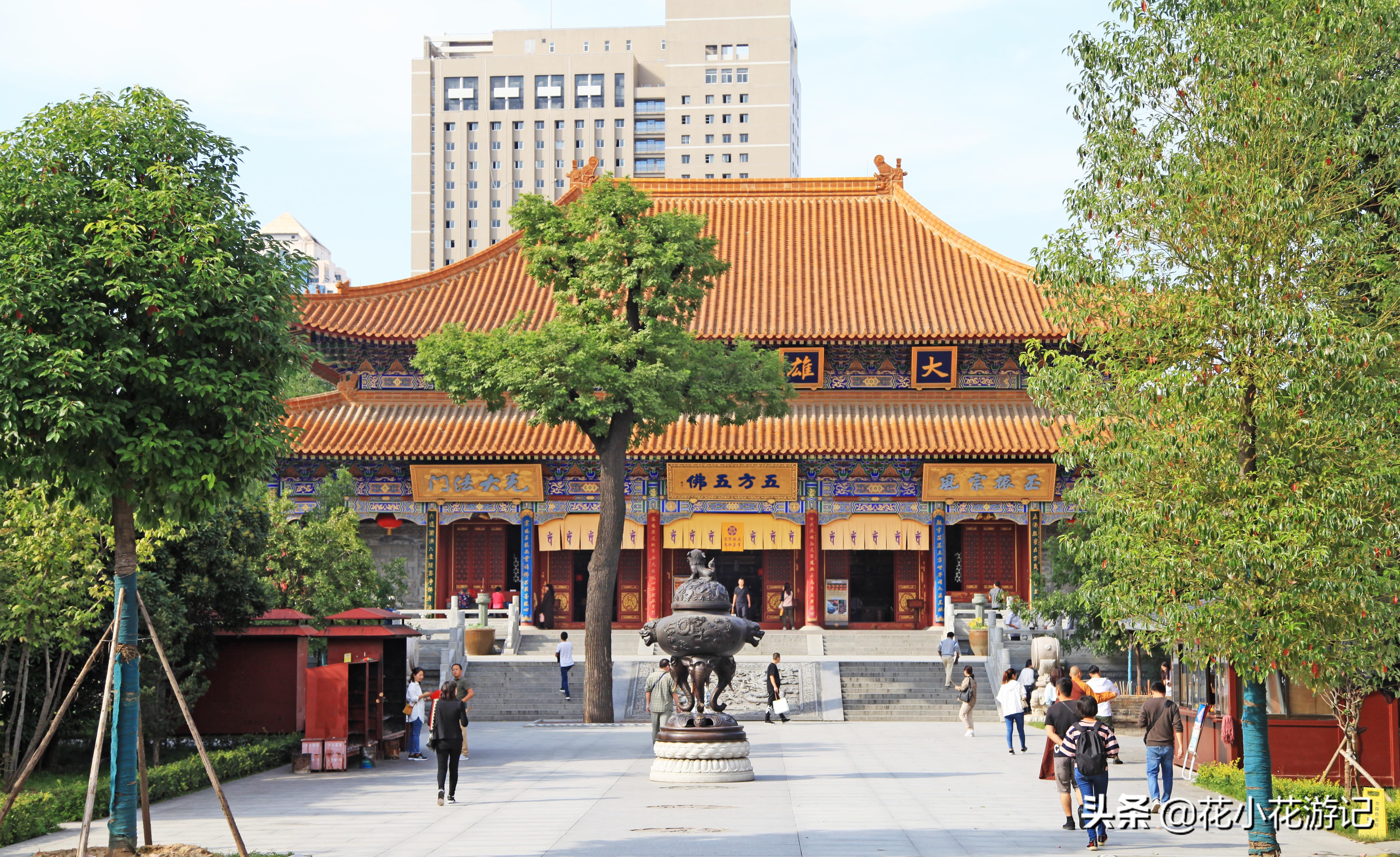 澶у叴鍠勫鐨堜緷娉曚細,澶у叴鍠勫澶ч泟瀹濇绁堢璇电粡