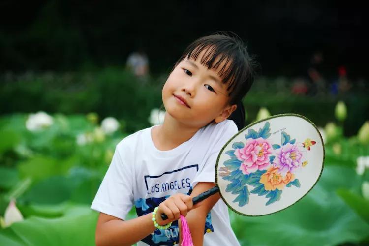 尼康入门单反,单反快速入门攻略