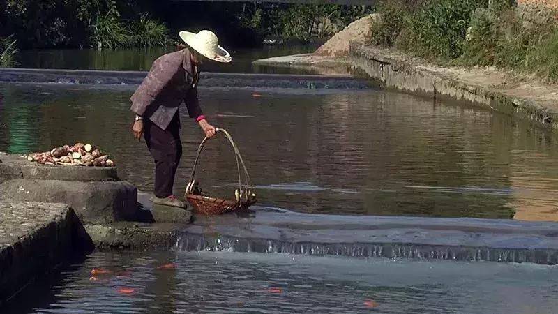 三明古村落旅游景区介绍,福建省三明市古村落