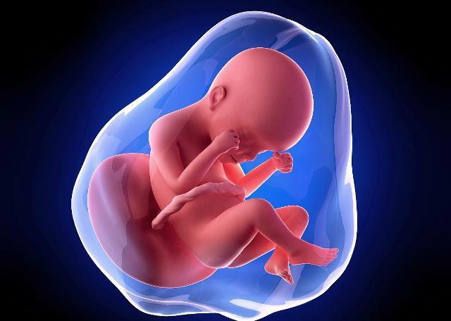 孕期肚子大说明胎儿大吗,孕妇肚子太大是什么原因造成的