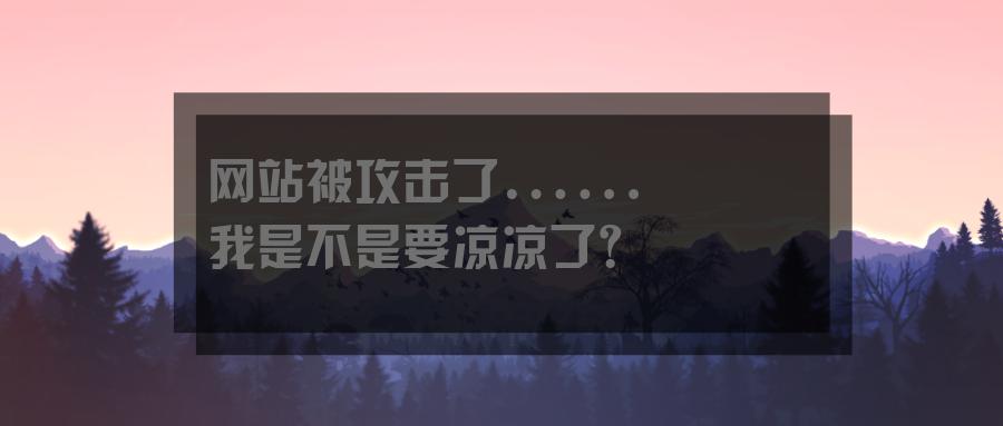 网站被刷ip攻击如何解决,网站被人恶意攻击怎么办