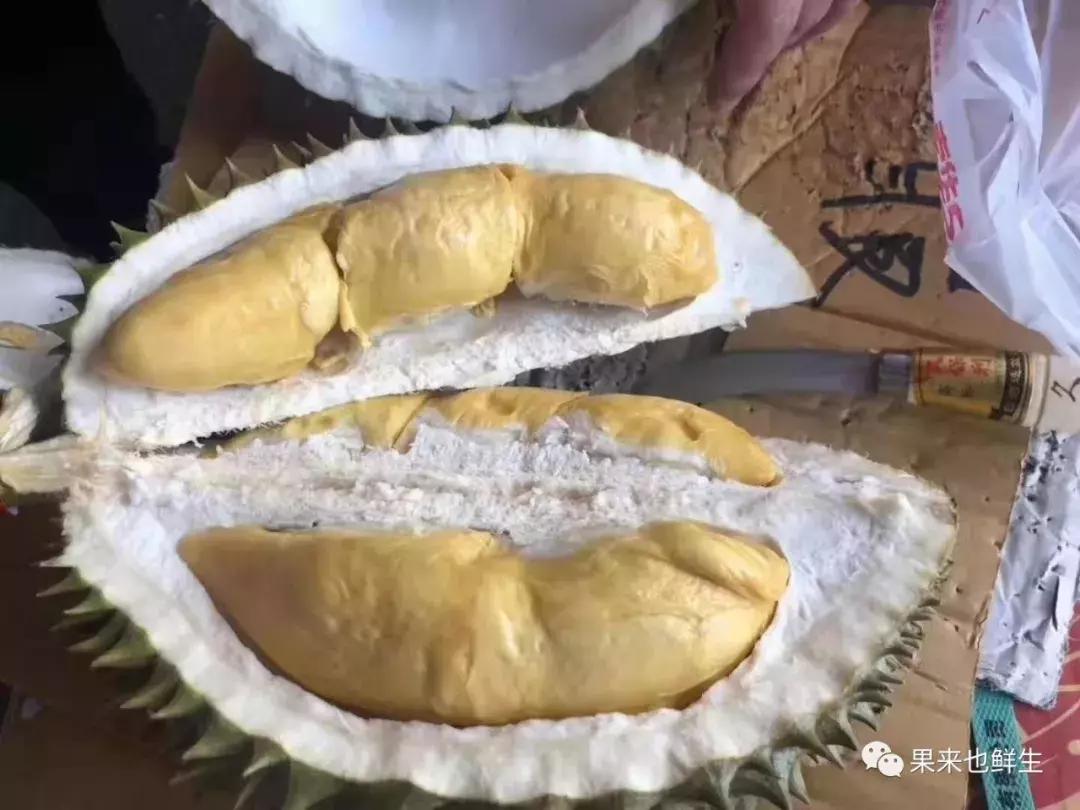 正宗泰国大榴莲,最正宗的泰国榴莲