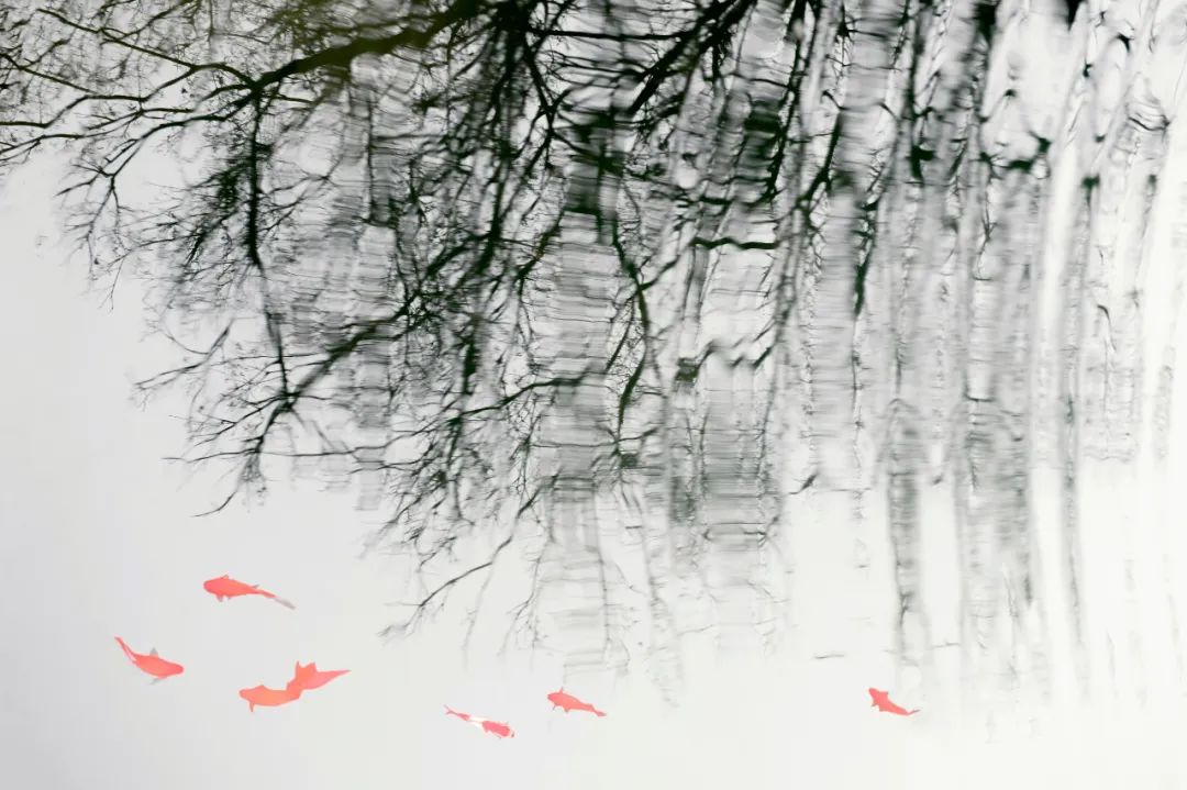 香港第14届全国摄影艺术展,第29届全国摄影艺术展览获奖名单