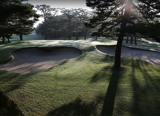 高尔夫比赛规则和球场规则,高尔夫球比赛规则全解