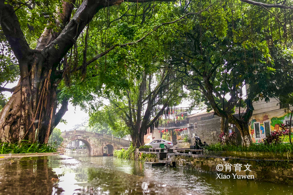 顺德逢简水乡，那一片小桥流水人家的风光，是古桥古屋古木的桃源