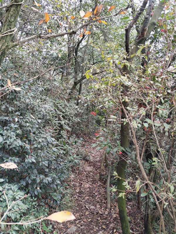 杭州市周末自驾游去哪里好玩,杭州出发周末旅游攻略