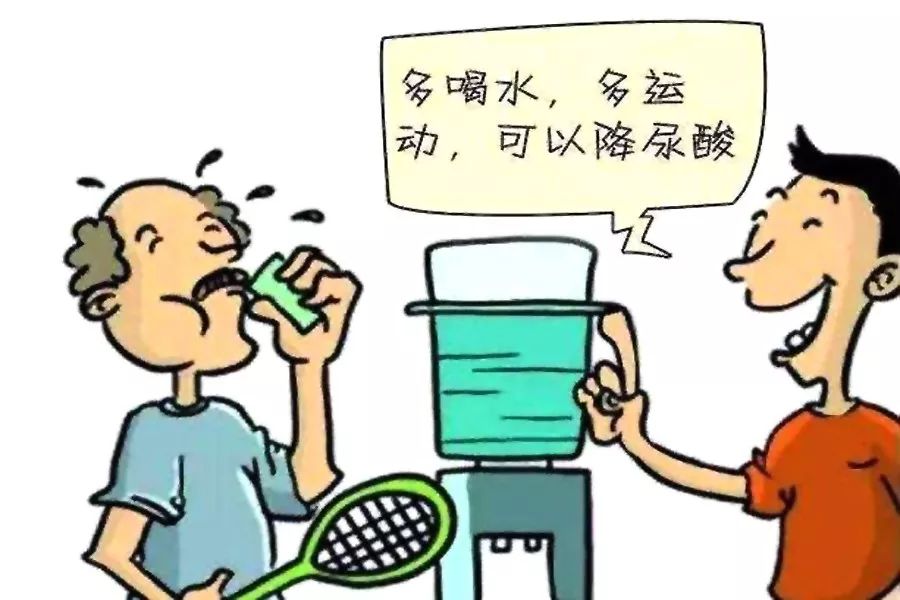 低嘌呤饮食会不会蛋白质摄入不足,低嘌呤饮食尿酸还是有300