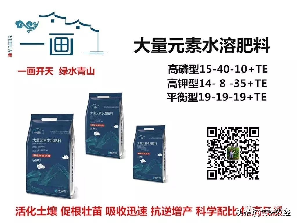 践行绿水青山就是金山银山,践行绿水青山就是金山银山的案例