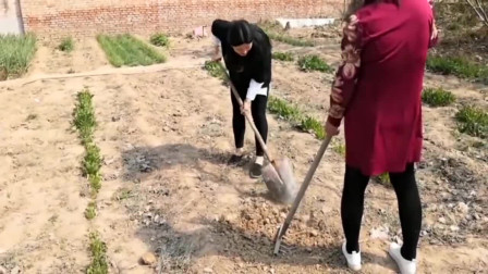 天上奇异现象,天上是否有神