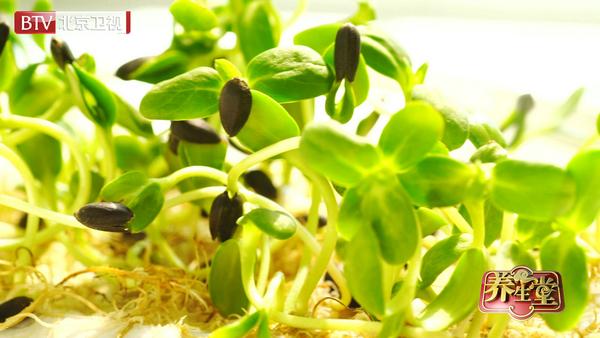 今日养生堂现场直播视频,养生堂之冬季养生大补菜