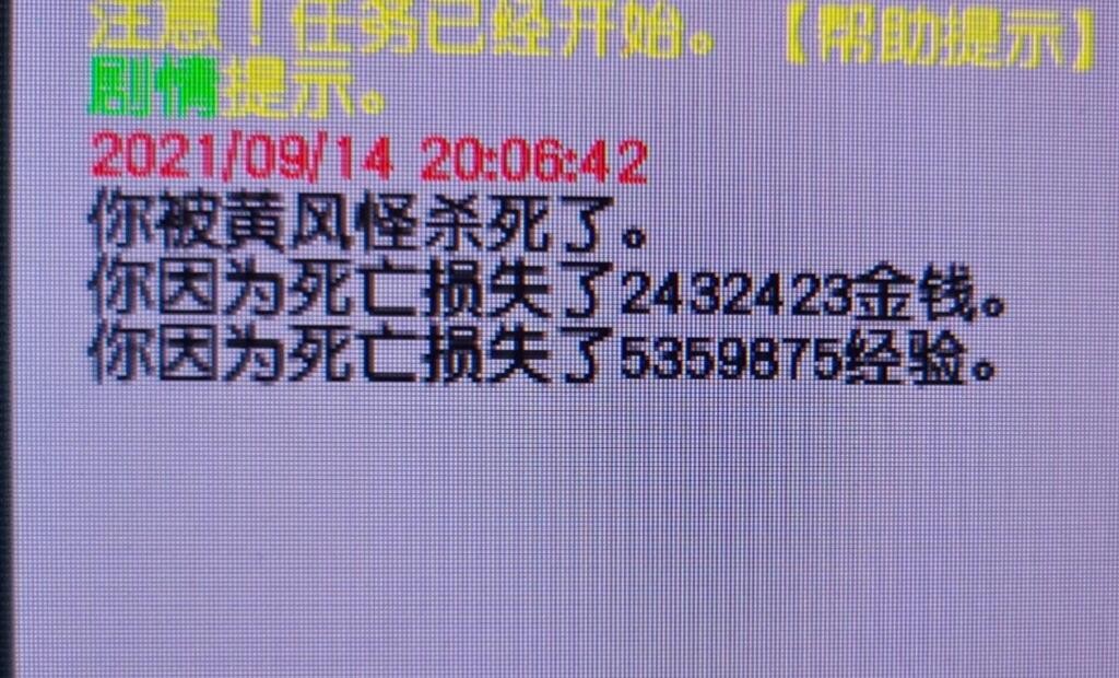 梦幻西游工作室都做点什么,梦幻西游五开一花生四五庄