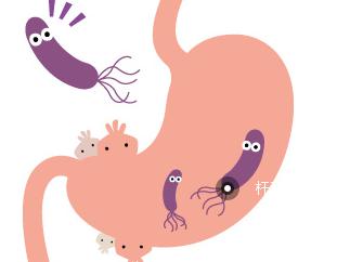 幽门螺杆菌hp两个+是什么意思,幽门螺旋杆菌与hp的区别