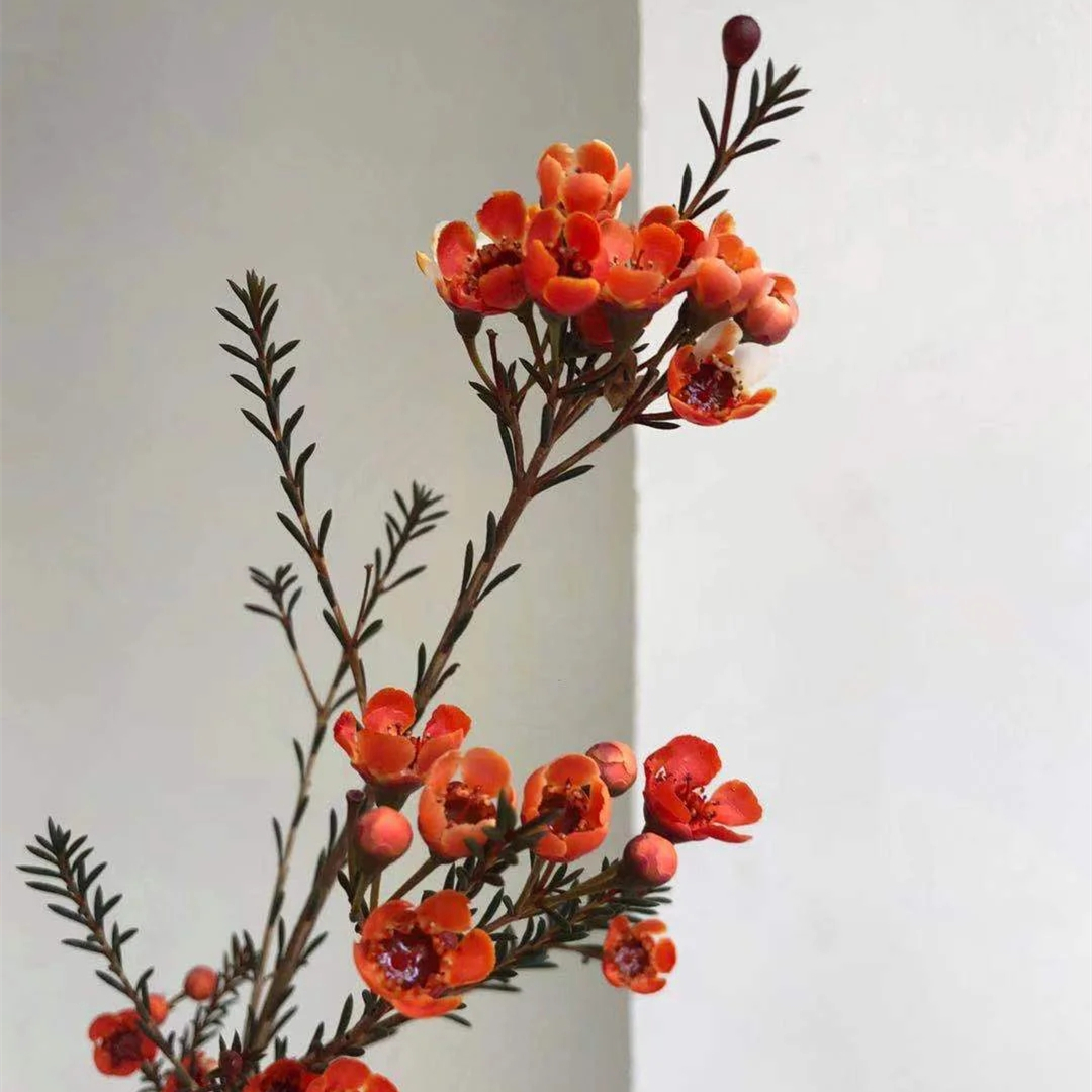 野冬青花材,畅销花卉绿植排行榜前十名