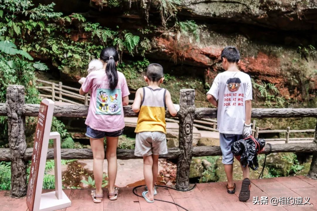 赤水大瀑布 侏罗纪公园 (贵州赤水侏罗纪公园攻略)