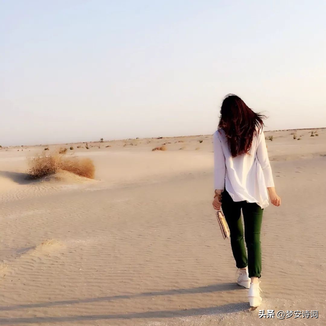 梦安|水岸春行，金丝柳影入画屏