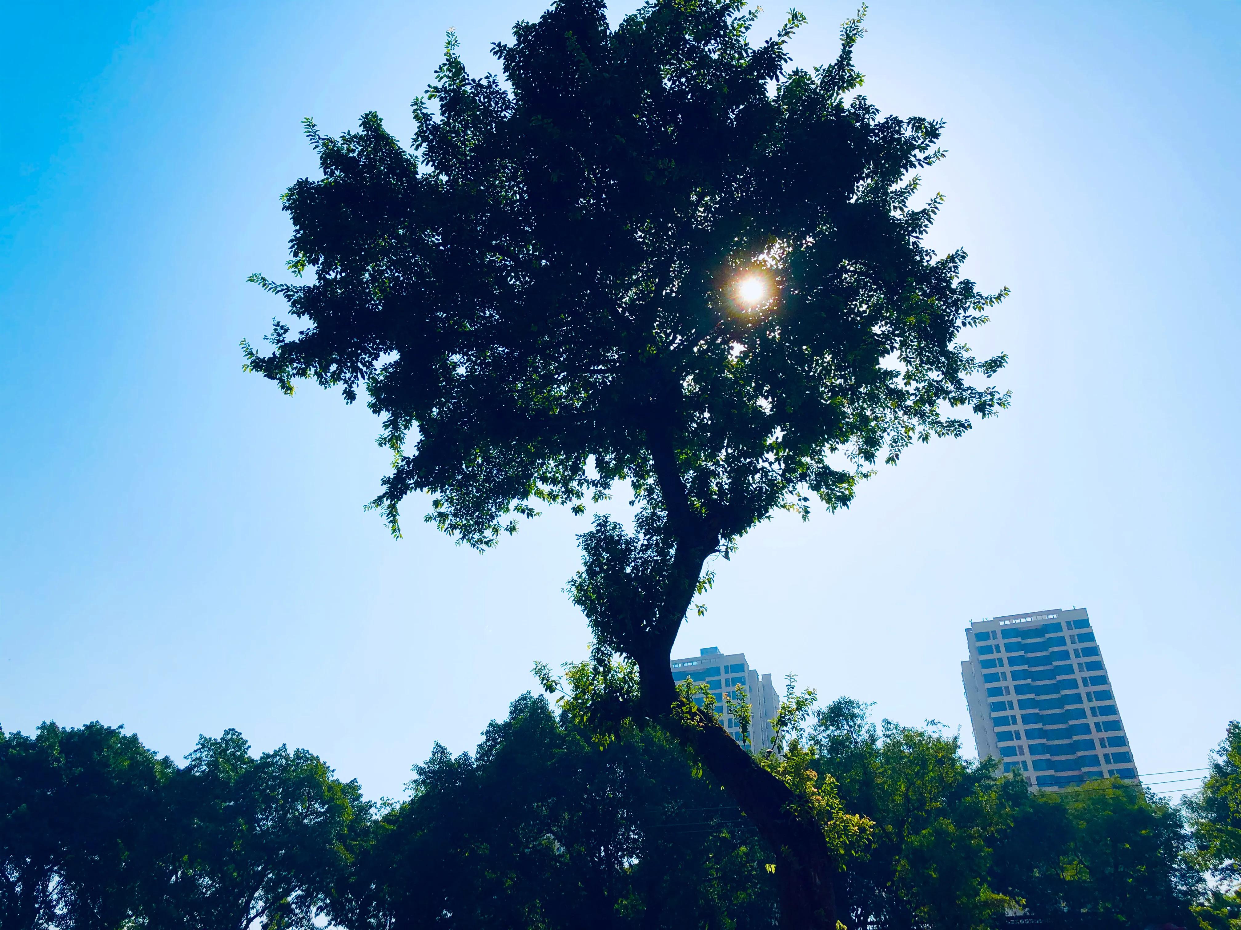 婕閲嶅簡瑙嗛,婕閲嶅簡