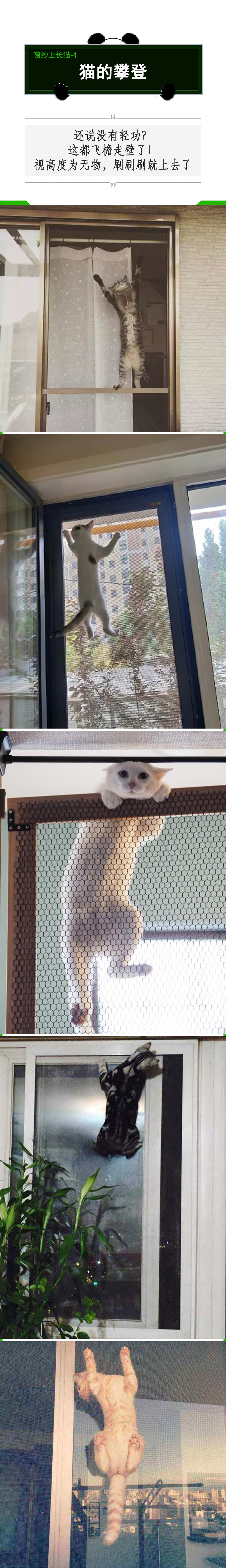 有纱窗为什么家里总有蚊子,有防盗网的房间窗户防蚊纱窗