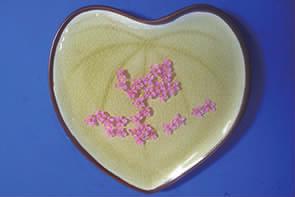 浮游花一种特别的赏花方式,赏花正确方法图片