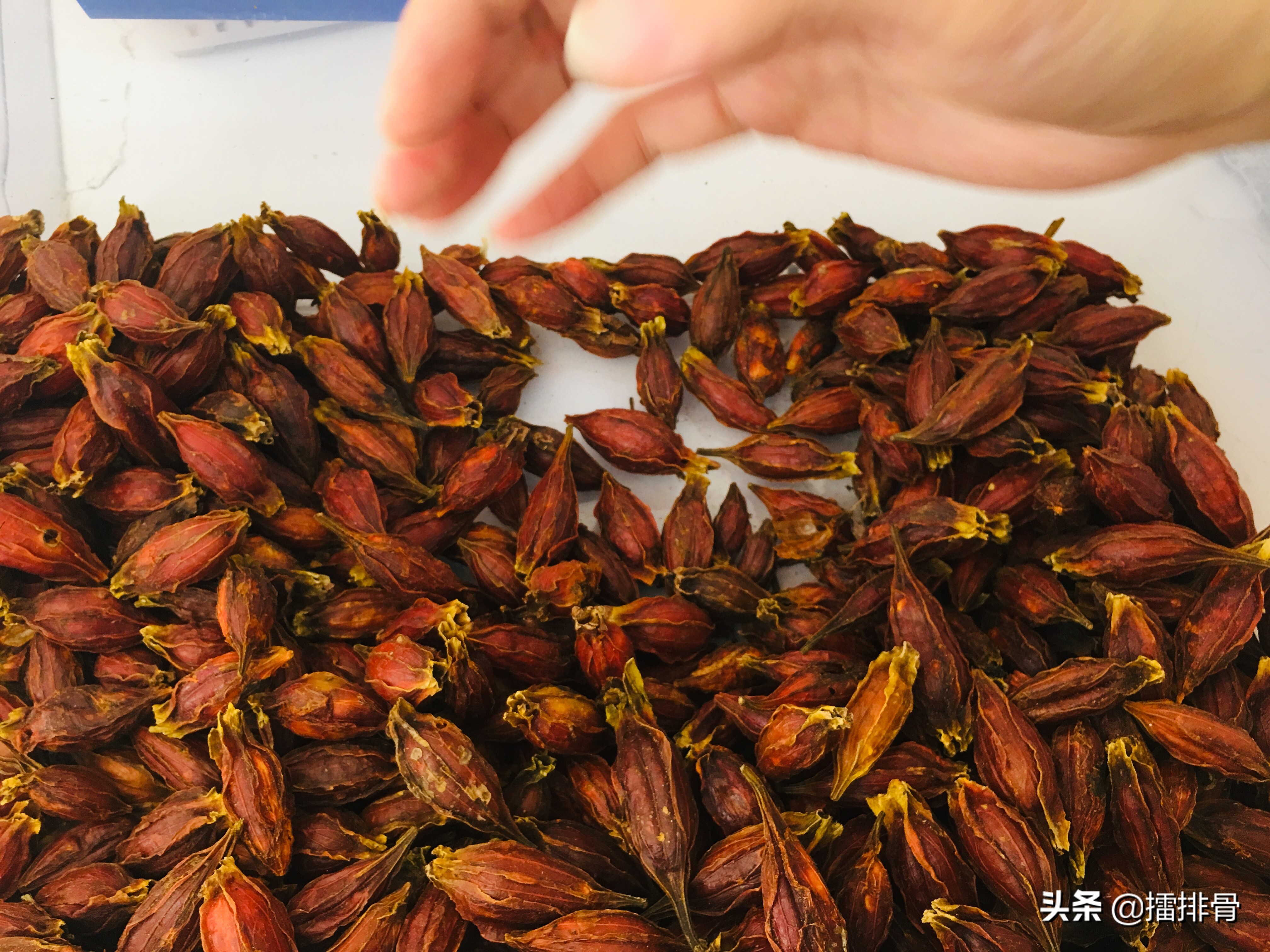 卤水发苦是哪几种药材引起的,卤水发苦是什么病的前兆