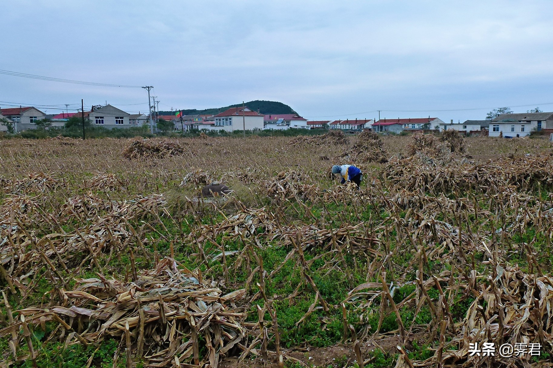 大连皮口港当天往返攻略,大连皮口港坐船攻略