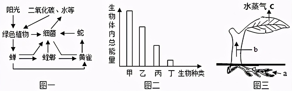 临沂市生物实验操作考试视频,临沂物理实验操作考试试题