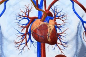 医生手术后最想做什么,医生做完手术以后会怎样