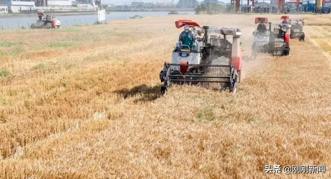 吴江未来五年的发展规划,吴江近十年的变化对比图