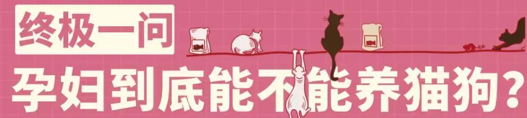 怀孕了还是想养猫猫狗狗怎么办？华西专家：可以养，但绝不能随便养！