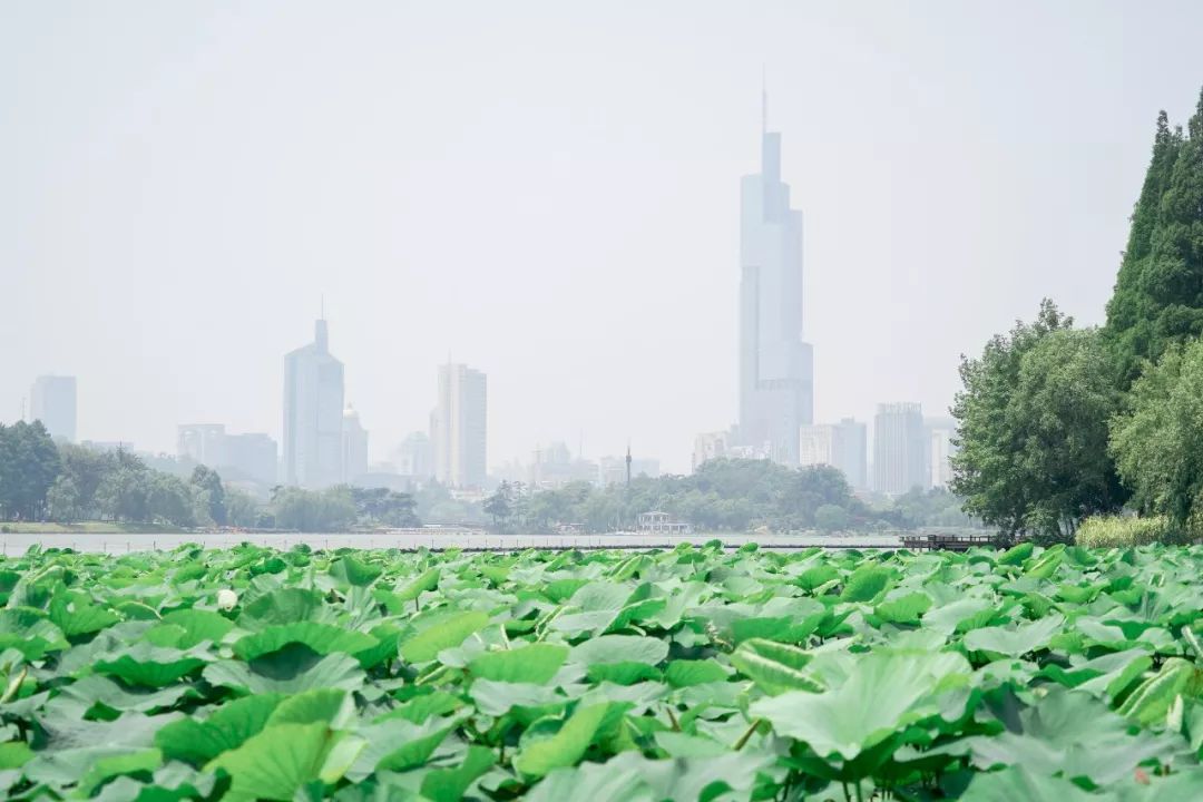 南京玄武湖边还有啥好玩的,玄武湖有什么好玩的