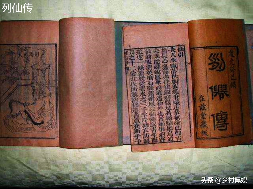 葱的尴尬命运,不被重视又不可或缺,一口气搞懂葱的前世今生