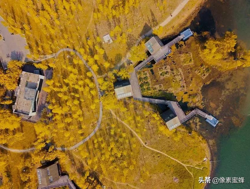 手机拍照新玩法,手机拍照必须这样拍