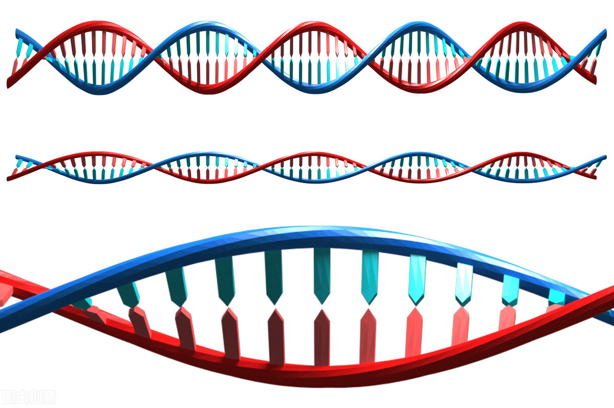 祖先全身毛发，人类进化得却只有阴毛、头发等，原因何在？