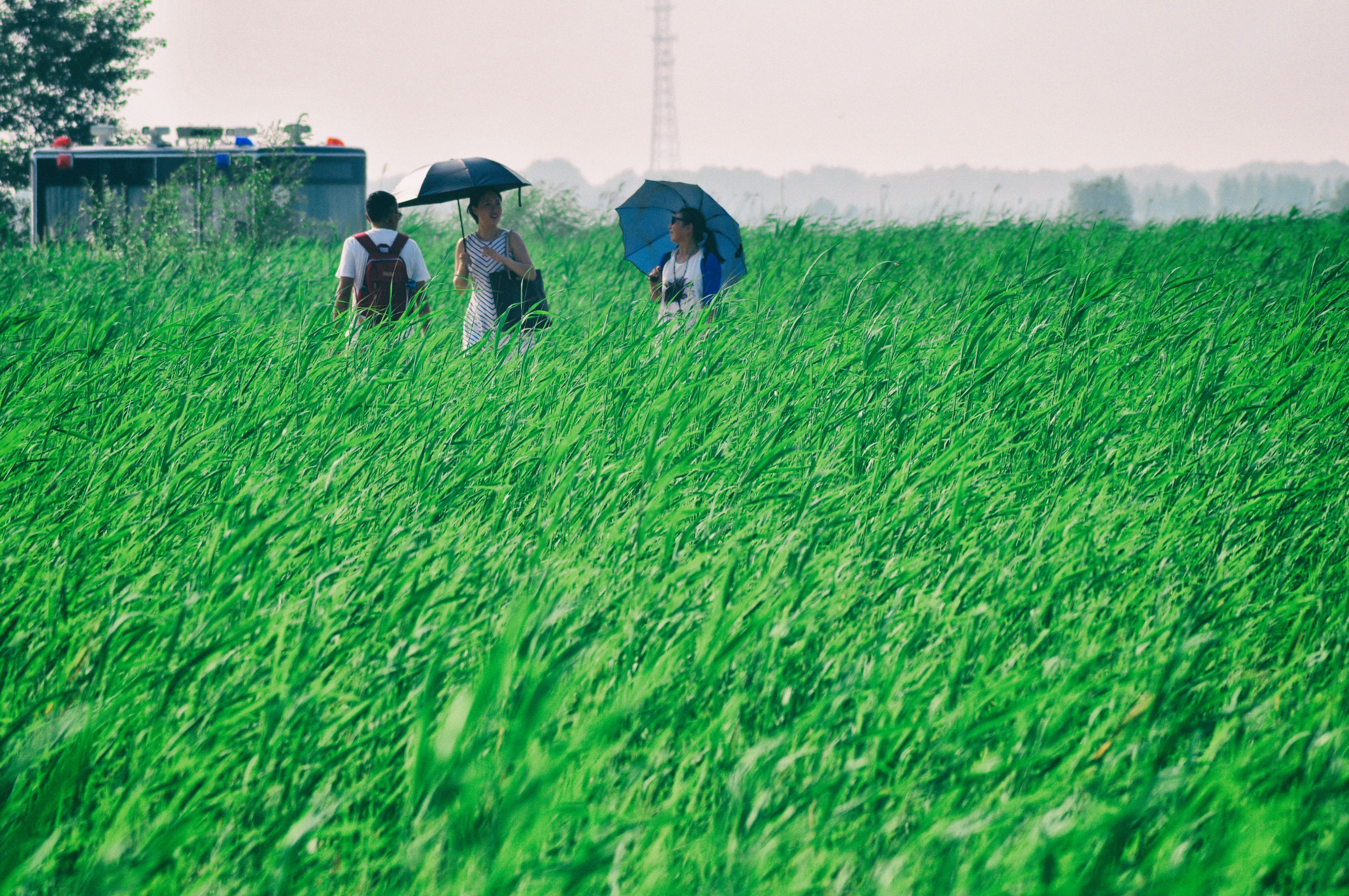 东北边疆,东北行游记2019