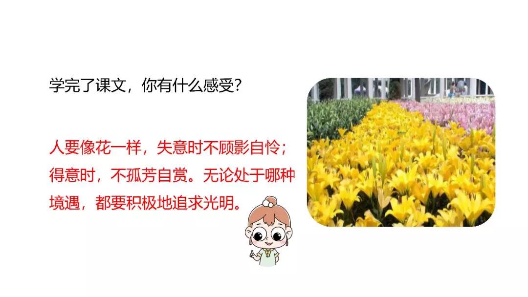 六年级上册语文第四课花之歌电子,部编版语文六年级上册花之歌讲解