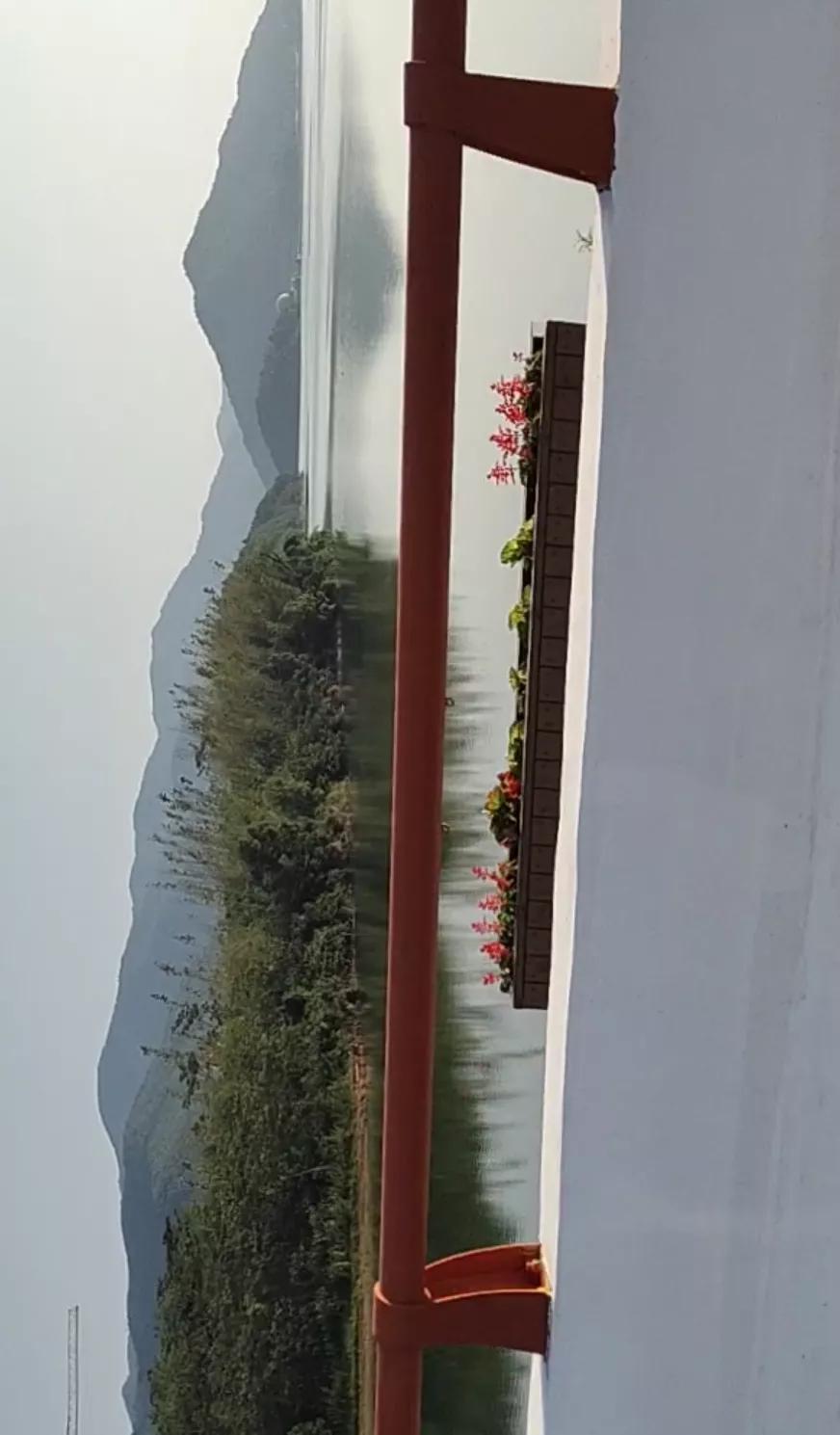 秋季宁波钓鱼,秋钓深潭