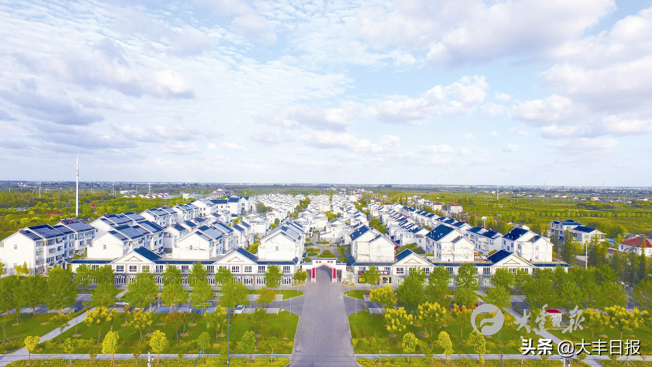 盐城射阳全面加速乡村振兴步伐,盐城聚焦乡村振兴