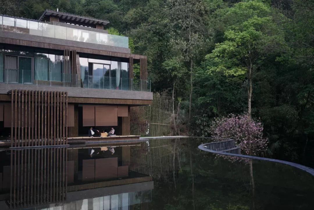 去了青城山才知道的宝藏民宿,青城山避暑农家小院