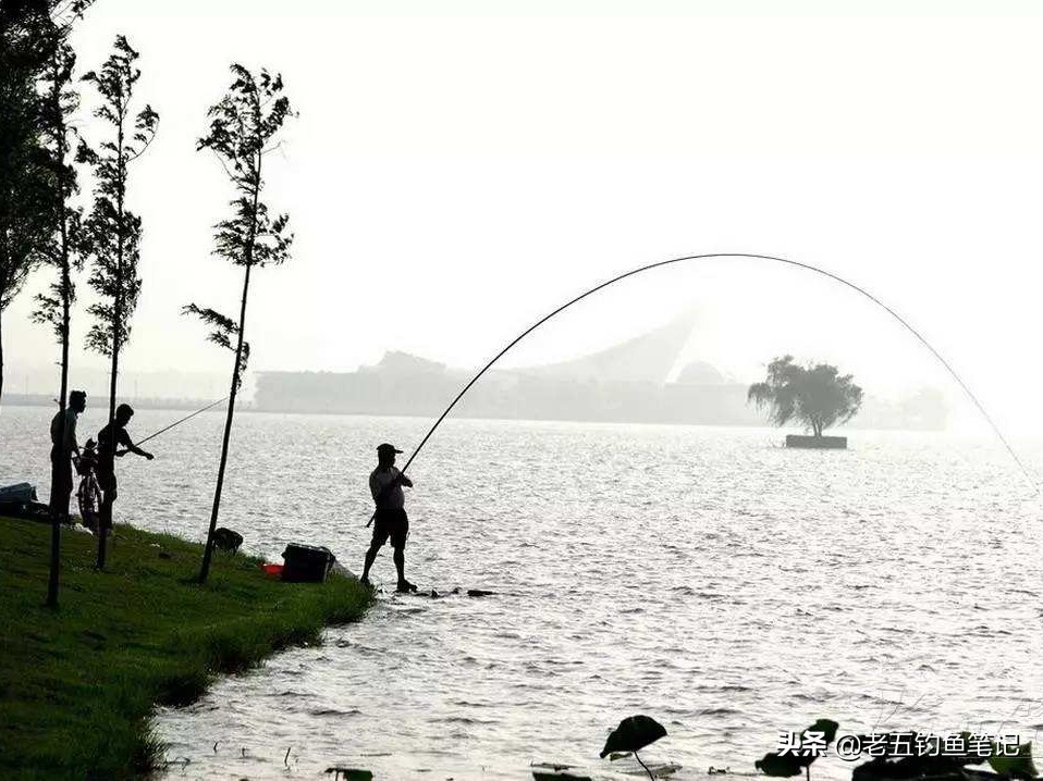 野钓最实用钓法,重庆禁渔期一杆一线一钩可钓鱼吗