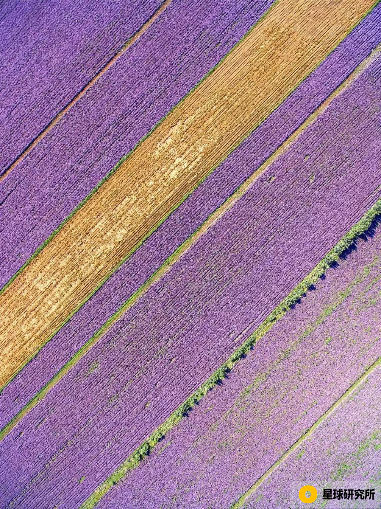 山河图全景图高清大图,中国壮美山河全景图