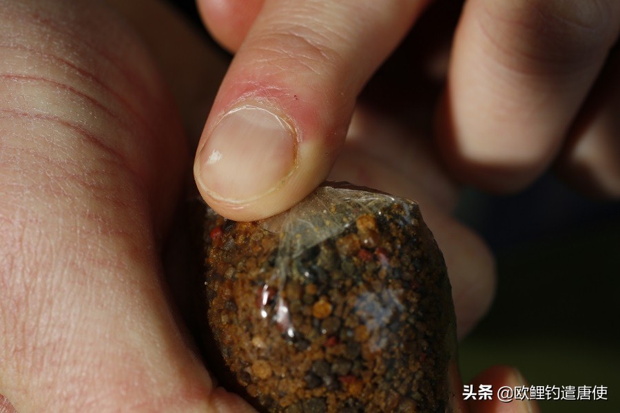 话说欧鲤之钓组篇,话说欧鲤钓